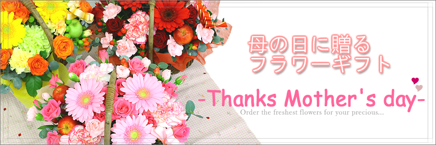 ̓ɑ邨
